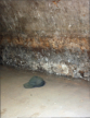 Ablesbare Wasserstände am Betongewölbe, Mütze zum Höhenvergleich, 2006